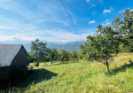 Detached house with land and rustic house.