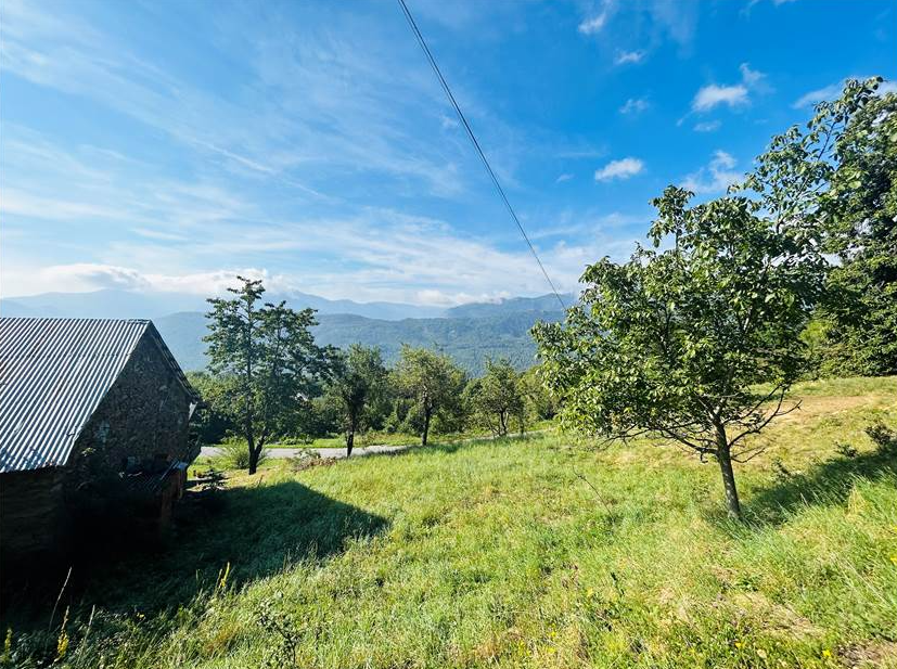 Detached house with land and rustic house.