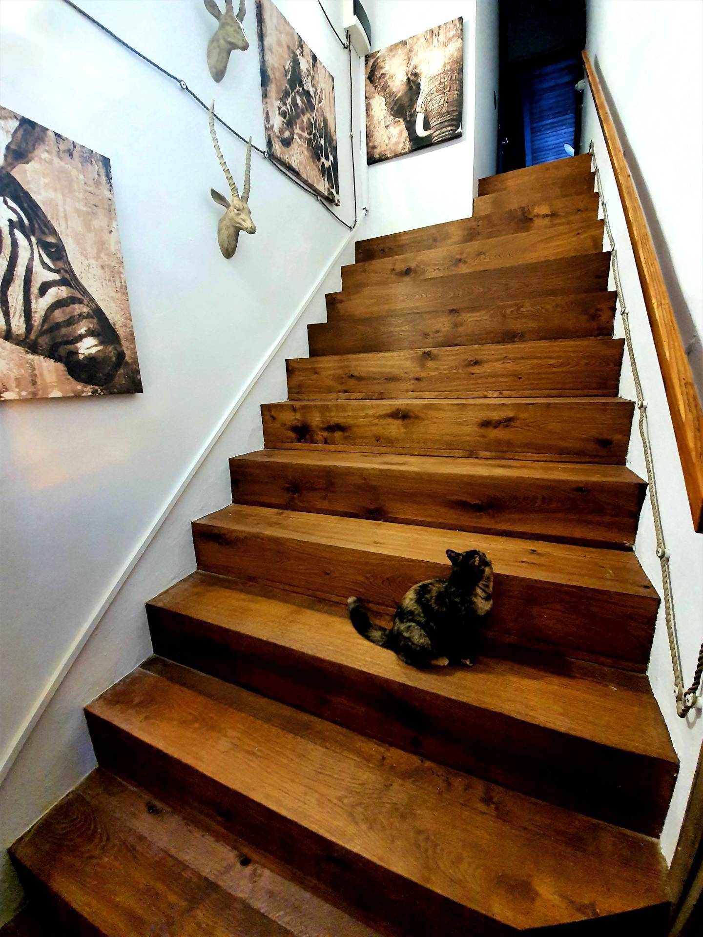 DETACHED HOUSE Offida (AP)