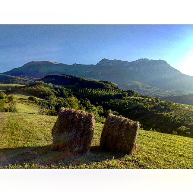A Lovingly Renovated Stone Farmhouse bordering the Gran Sasso National Park and a rare opportunity to own a home of history, soul, and sophistication.
