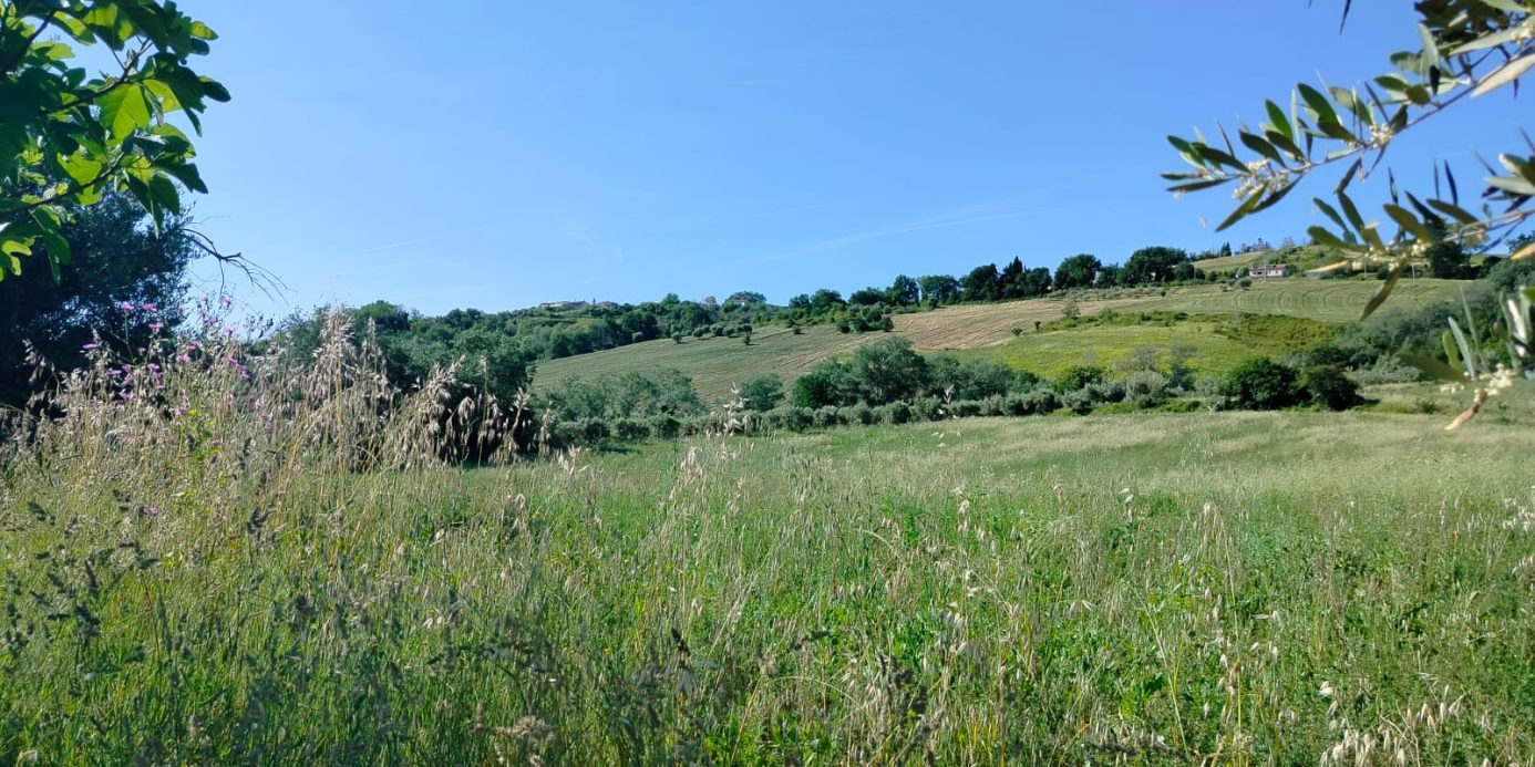 Exceptional Investment Opportunity in the Heart of Le Marche