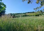 Exceptional Investment Opportunity in the Heart of Le Marche