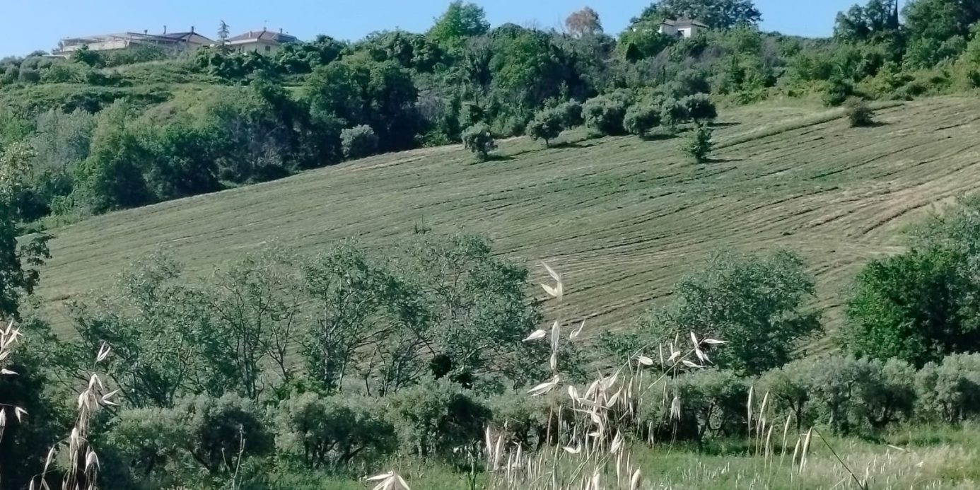 Exceptional Investment Opportunity in the Heart of Le Marche