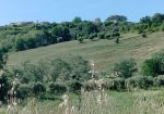 Exceptional Investment Opportunity in the Heart of Le Marche