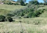 Exceptional Investment Opportunity in the Heart of Le Marche