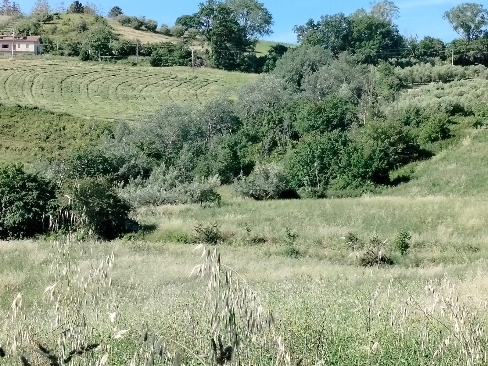 Exceptional Investment Opportunity in the Heart of Le Marche