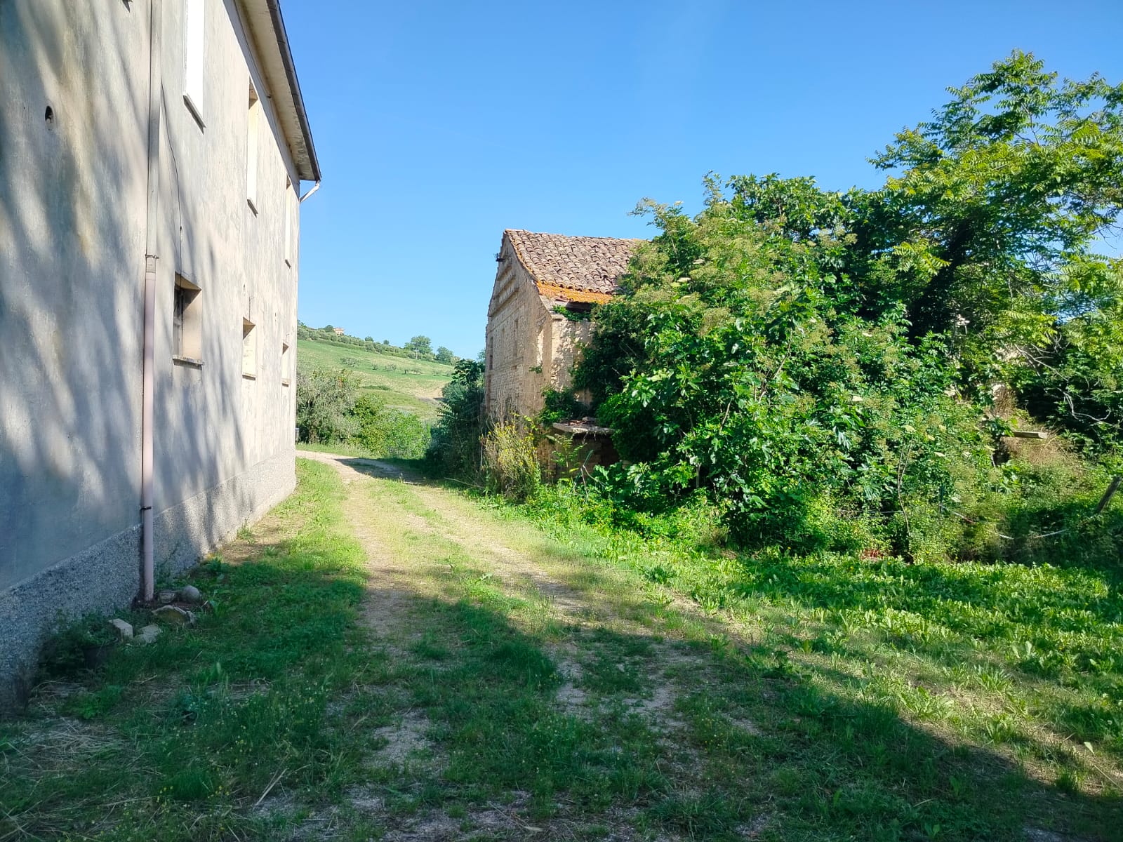 Exceptional Investment Opportunity in the Heart of Le Marche