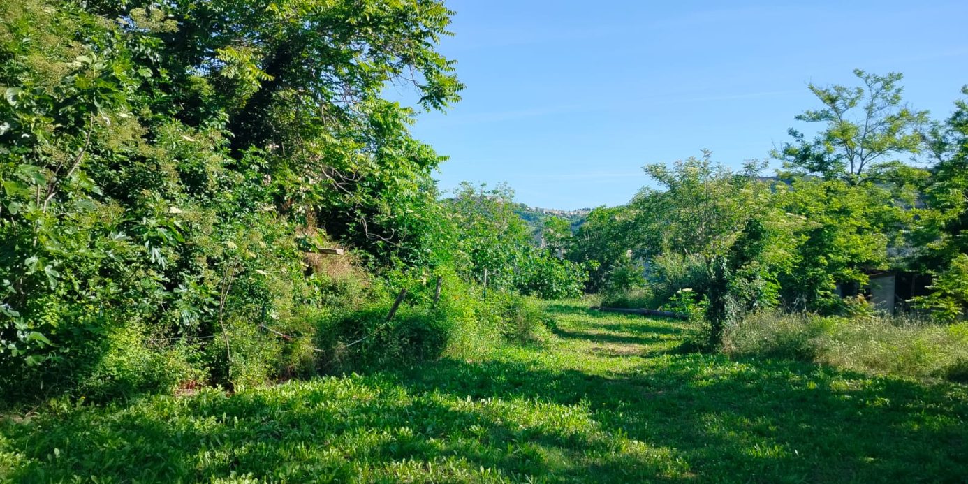Exceptional Investment Opportunity in the Heart of Le Marche