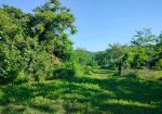 Exceptional Investment Opportunity in the Heart of Le Marche