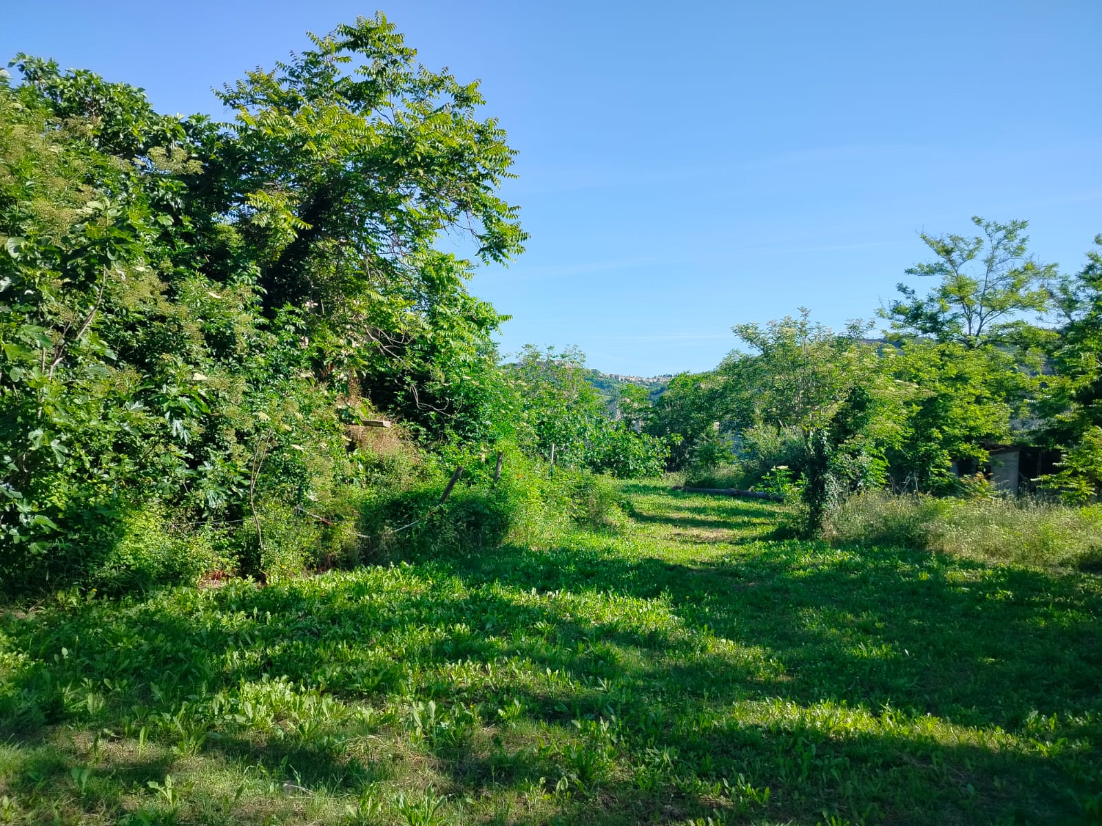 Exceptional Investment Opportunity in the Heart of Le Marche