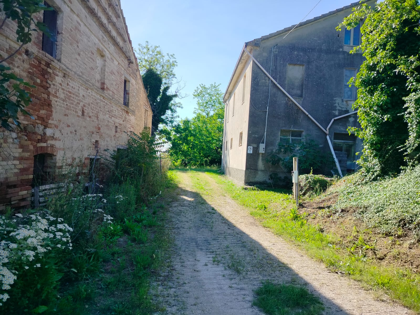 Exceptional Investment Opportunity in the Heart of Le Marche