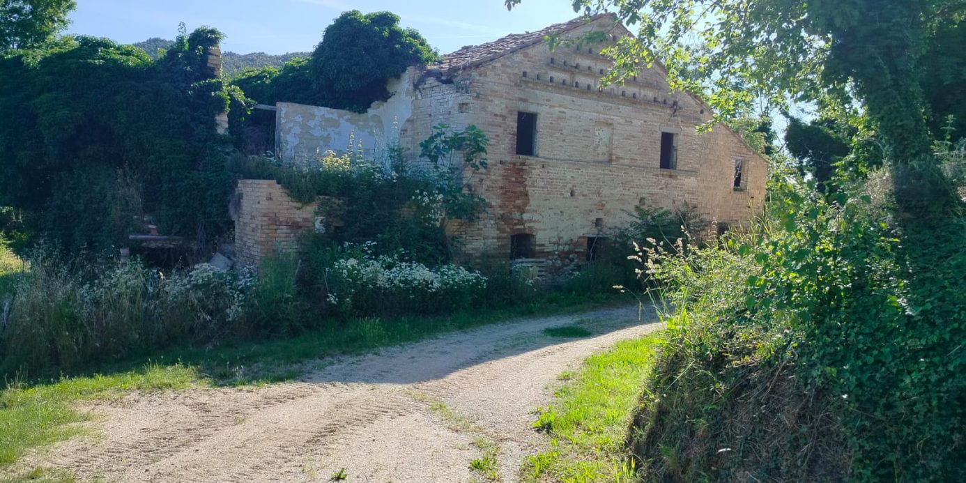 Exceptional Investment Opportunity in the Heart of Le Marche