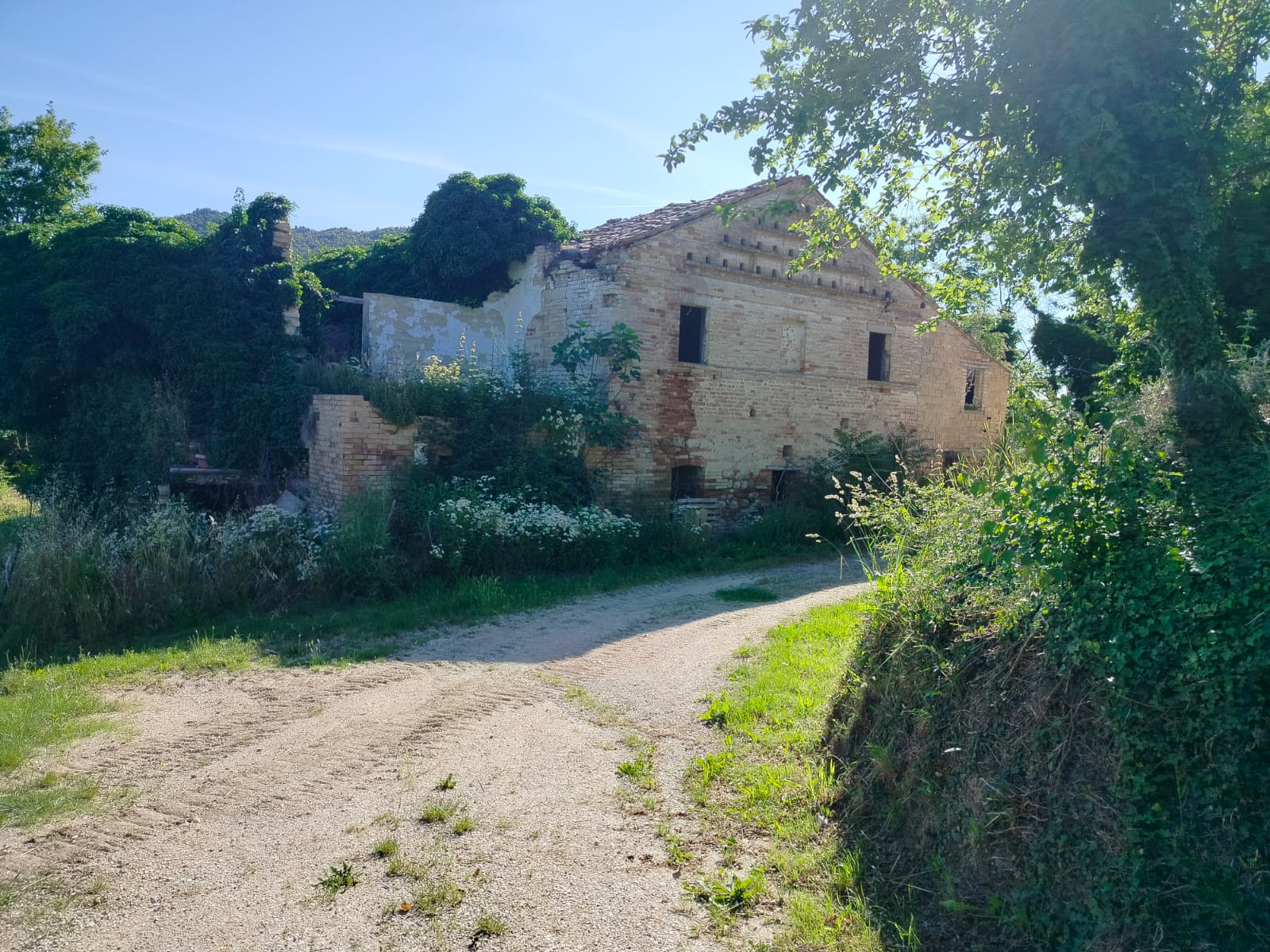 Exceptional Investment Opportunity in the Heart of Le Marche