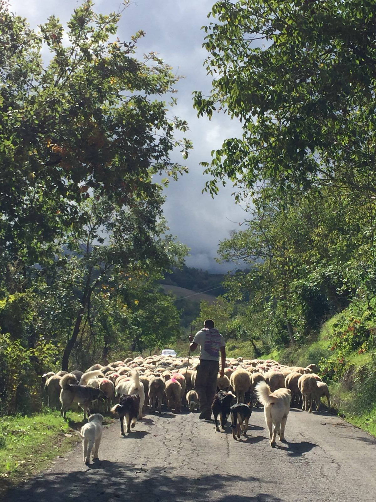A Lovingly Renovated Stone Farmhouse bordering the Gran Sasso National Park and a rare opportunity to own a home of history, soul, and sophistication.