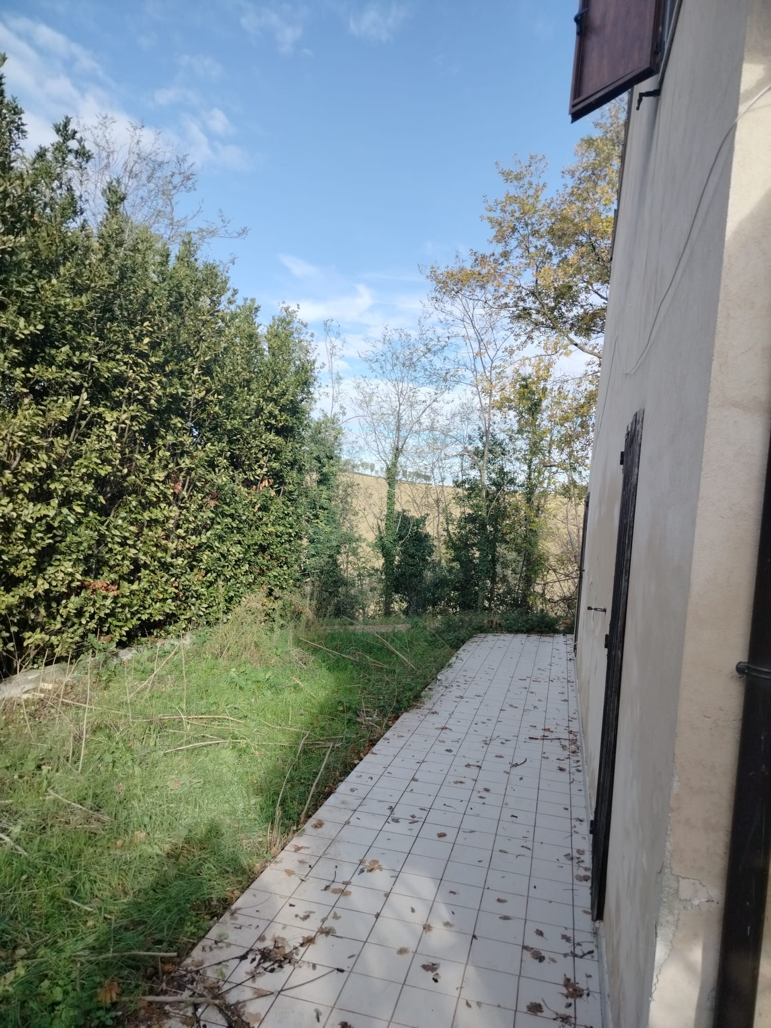 DETACHED HOUSE Offida (AP)