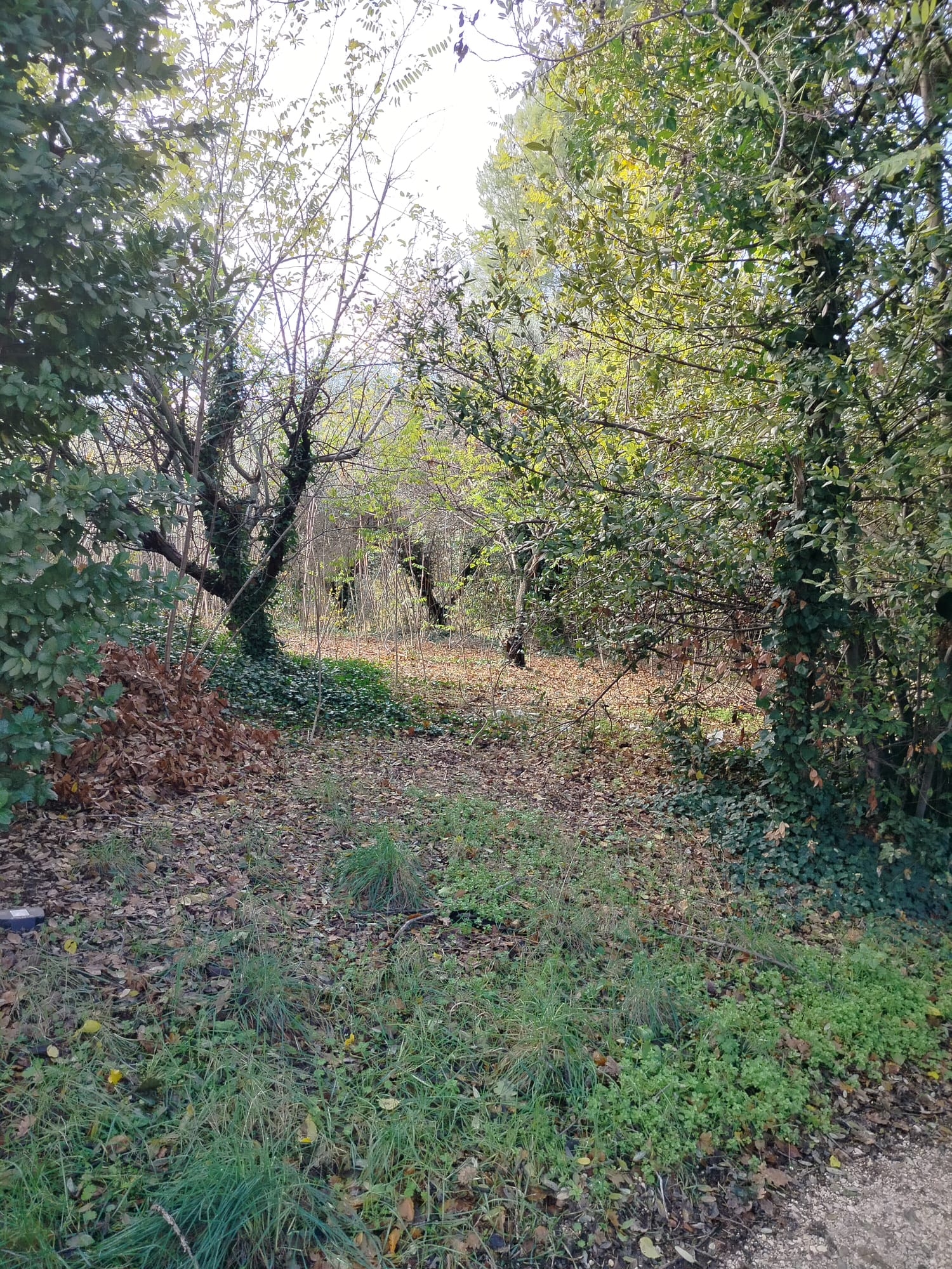 DETACHED HOUSE Offida (AP)