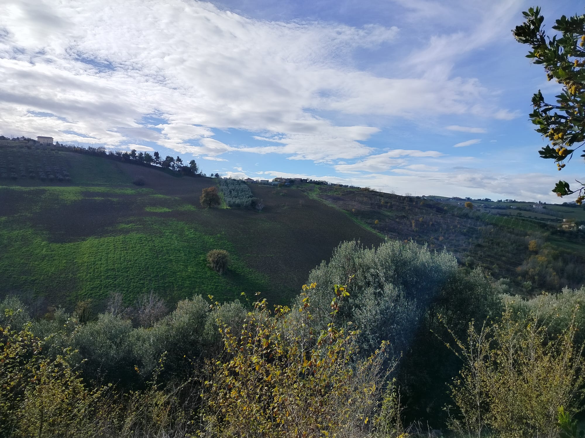 DETACHED HOUSE Offida (AP)