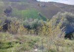 DETACHED HOUSE Offida (AP)