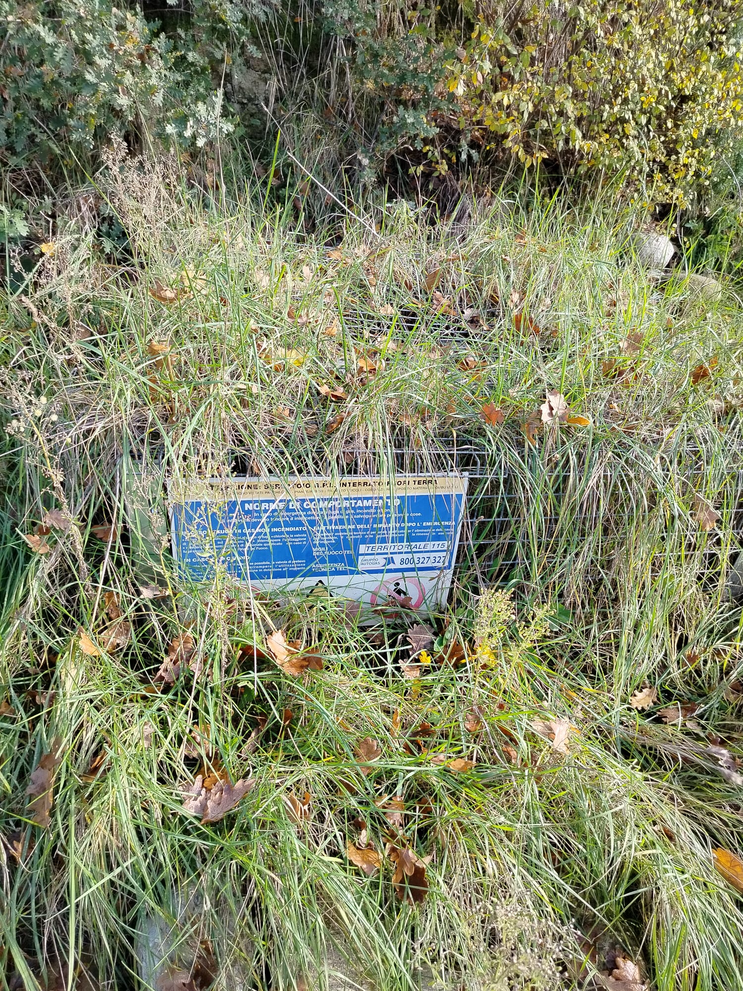 DETACHED HOUSE Offida (AP)