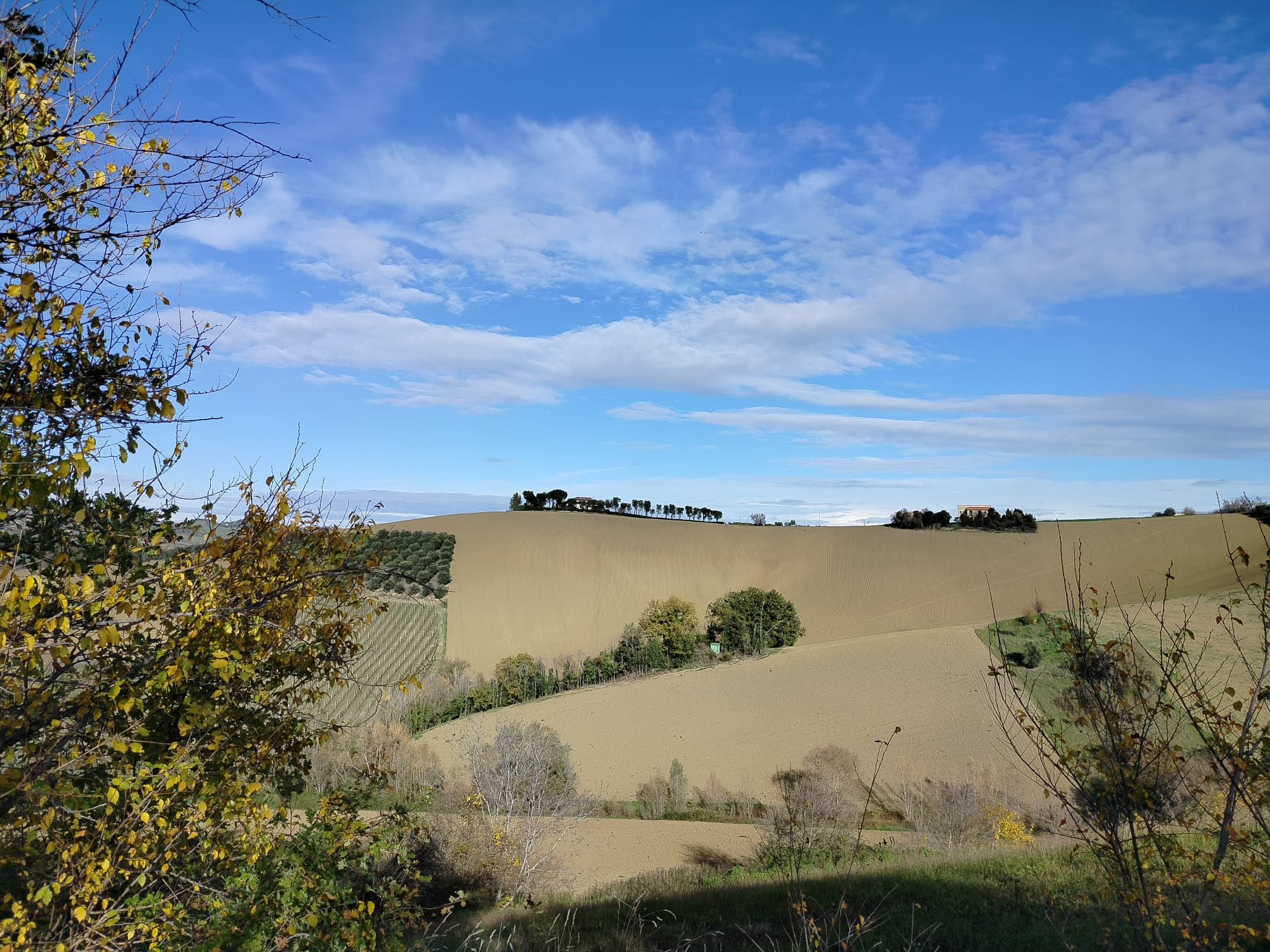 DETACHED HOUSE Offida (AP)