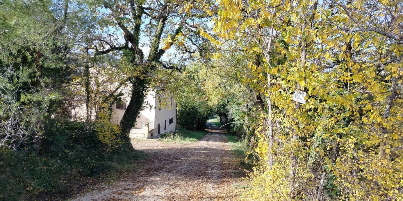 DETACHED HOUSE Offida (AP)