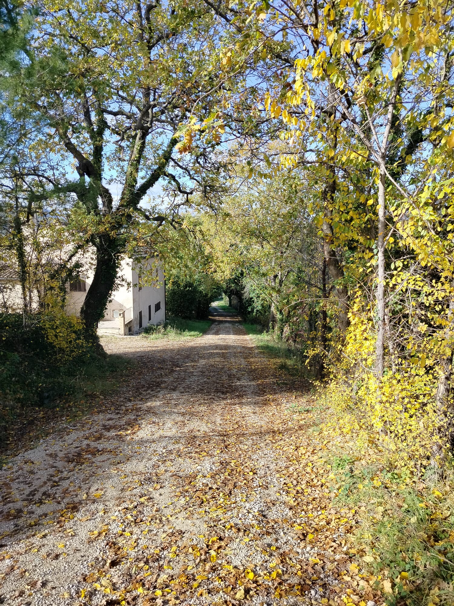 DETACHED HOUSE Offida (AP)