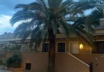 Terraced house of 242 square meters. Completely renovated with recovery of the attic
