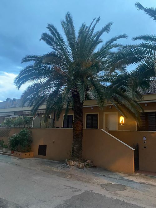 Terraced house of 242 square meters. Completely renovated with recovery of the attic
