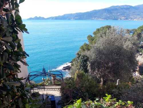 Three-room apartment of one hundred square meters – Sea View Portofino