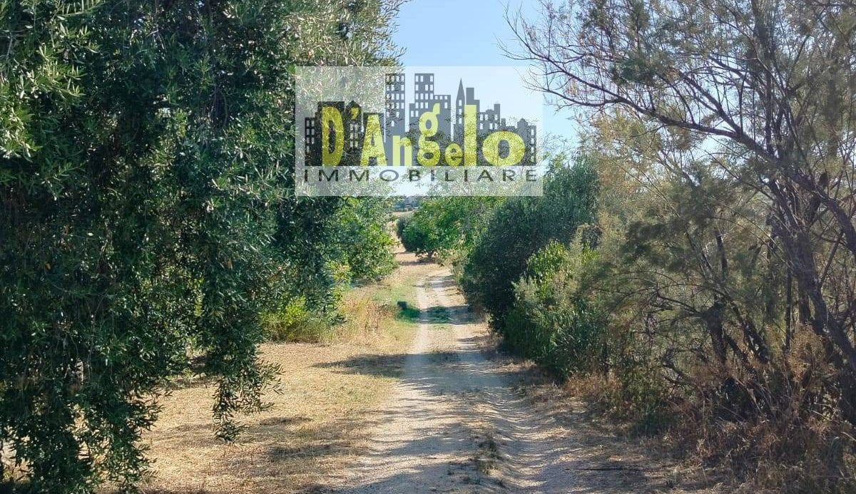 Charming Hilltop Farmhouse with Land and Panoramic Views – Offida