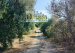 Charming Hilltop Farmhouse with Land and Panoramic Views – Offida