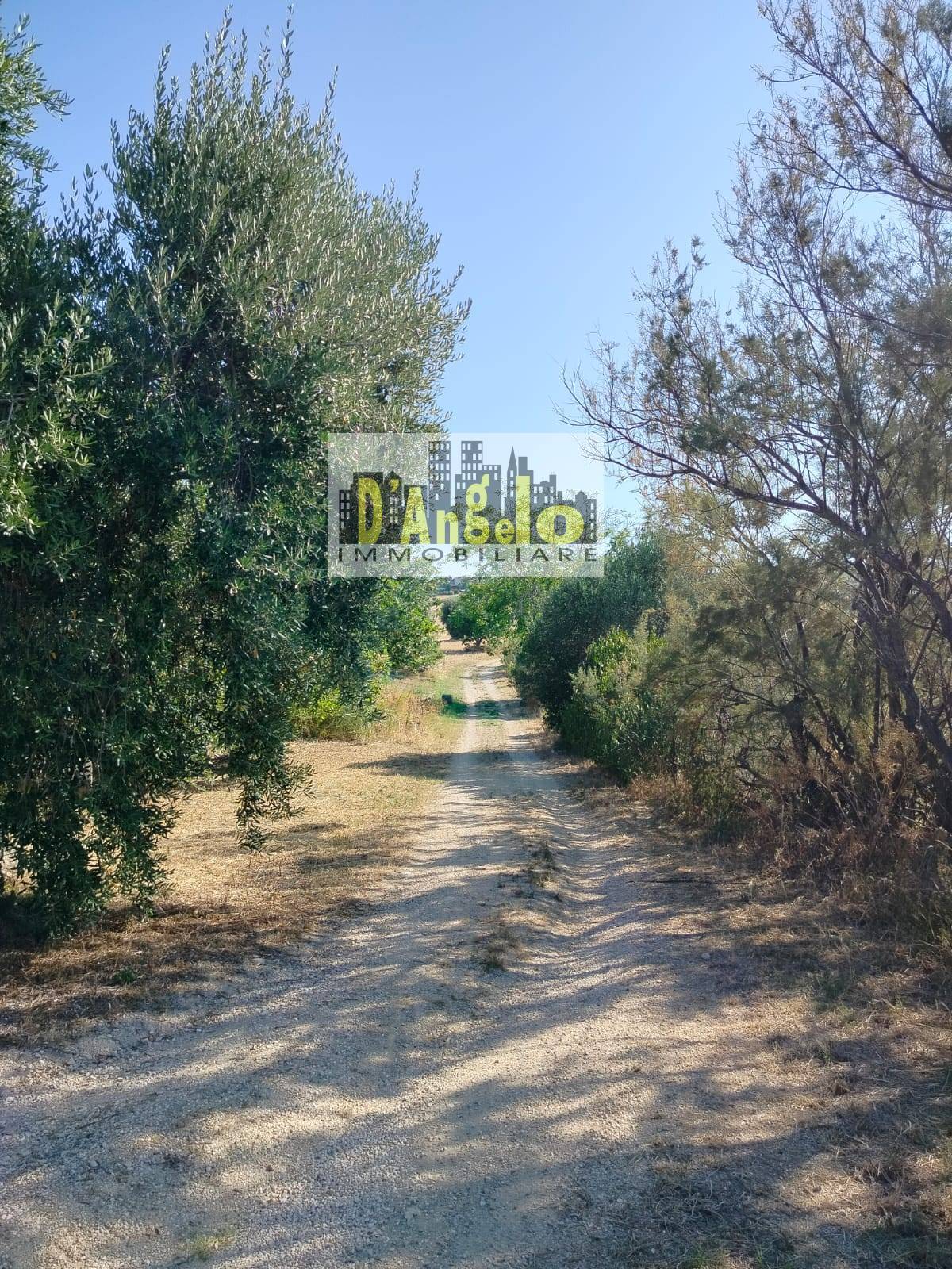 Charming Hilltop Farmhouse with Land and Panoramic Views – Offida