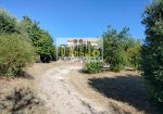 Charming Hilltop Farmhouse with Land and Panoramic Views – Offida