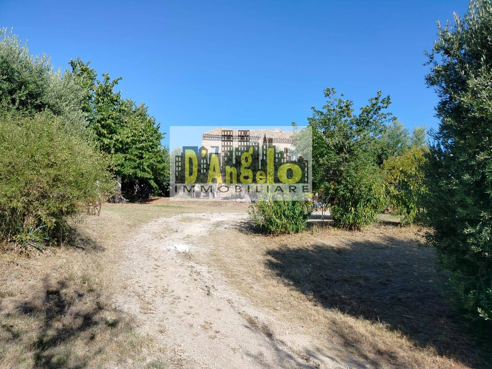 Charming Hilltop Farmhouse with Land and Panoramic Views – Offida