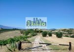 Charming Hilltop Farmhouse with Land and Panoramic Views – Offida