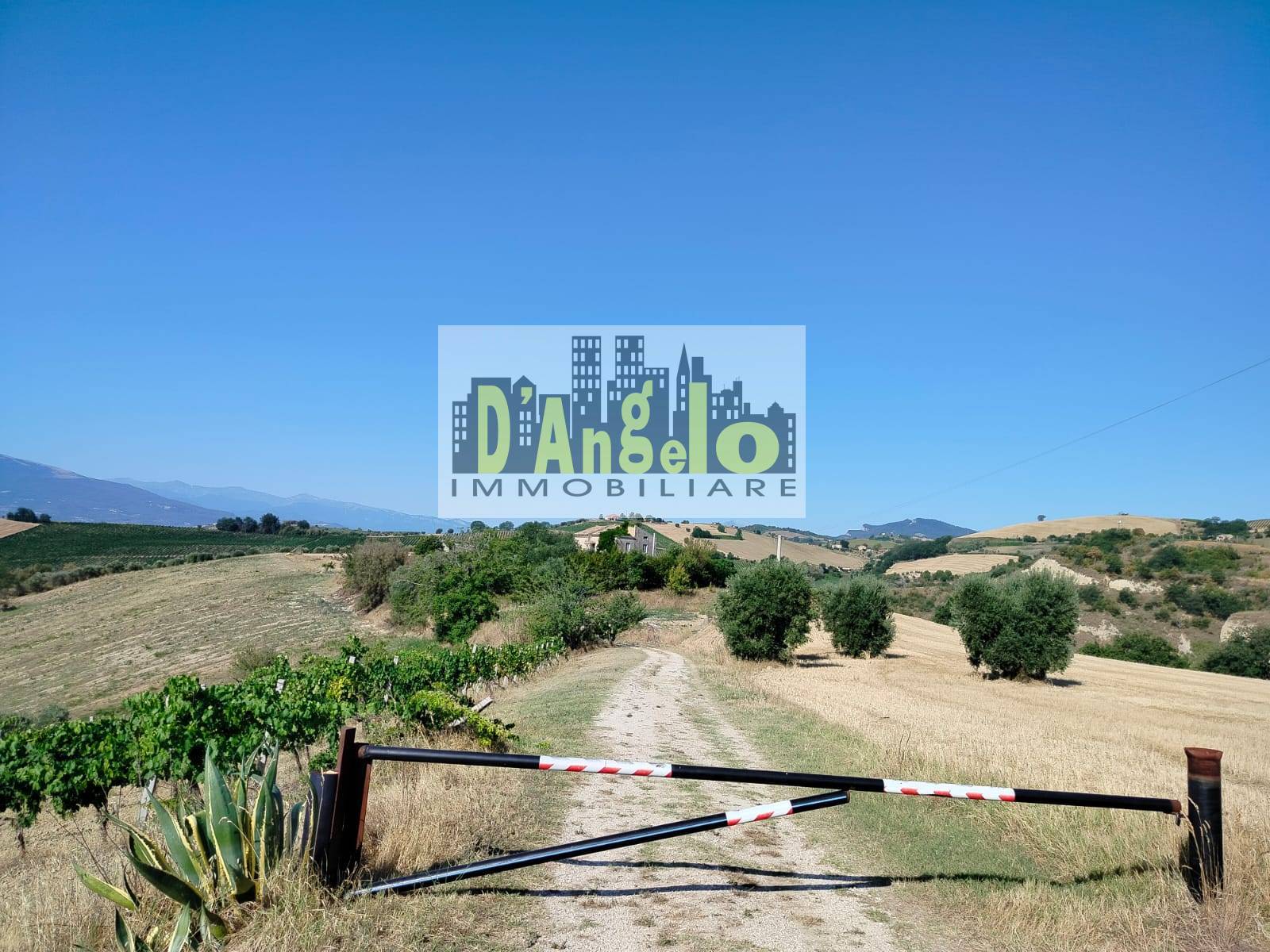 Charming Hilltop Farmhouse with Land and Panoramic Views – Offida