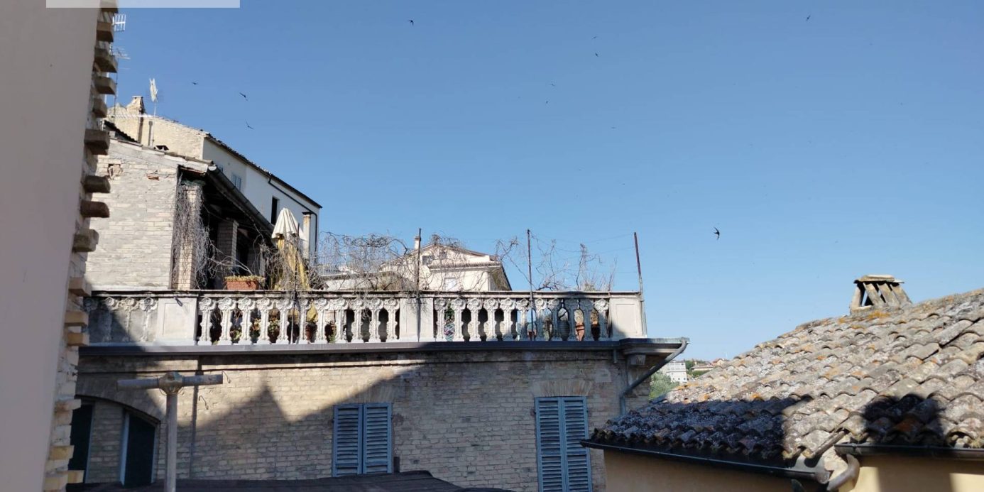 Charming Historic Home for Sale in Offida – A Perfect Blend of Tradition and Comfort