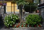 Rif. 2092 – Zoagli – Cornice di S. Ambrogio – Al confine tra Rapallo e Zoagli – Villa indipendente bipiano di duecentove