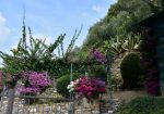 Rif. 2092 – Zoagli – Cornice di S. Ambrogio – Al confine tra Rapallo e Zoagli – Villa indipendente bipiano di duecentove