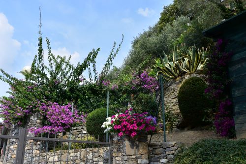 Rif. 2092 – Zoagli – Cornice di S. Ambrogio – Al confine tra Rapallo e Zoagli – Villa indipendente bipiano di duecentove
