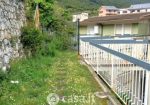 Rif. 2071 – Deiva Marina – ATTICO Trilocale con Giardino – Vista Mare – a CENTO METRI DAL MARE – Circondato da area verd