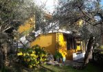 Penthouse in a semi-detached villa with independent entrance, terrace on the floor and garden