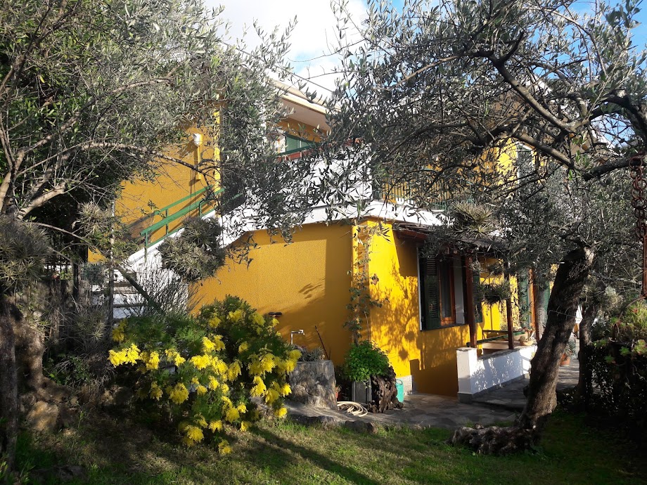 Penthouse in a semi-detached villa with independent entrance, terrace on the floor and garden