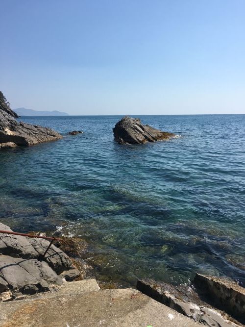 Rif. 2777 – Zoagli – Villa indipendente sulla scogliera più incontaminata del Golfo del Tigullio, con accesso privato al