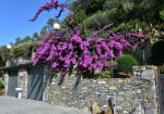 Rif. 2092 – Zoagli – Cornice di S. Ambrogio – Al confine tra Rapallo e Zoagli – Villa indipendente bipiano di duecentove
