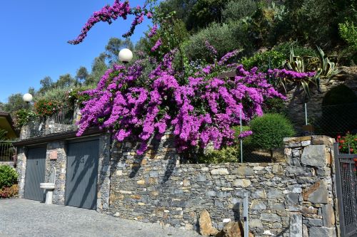 Rif. 2092 – Zoagli – Cornice di S. Ambrogio – Al confine tra Rapallo e Zoagli – Villa indipendente bipiano di duecentove