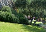 Rif. 2092 – Zoagli – Cornice di S. Ambrogio – Al confine tra Rapallo e Zoagli – Villa indipendente bipiano di duecentove