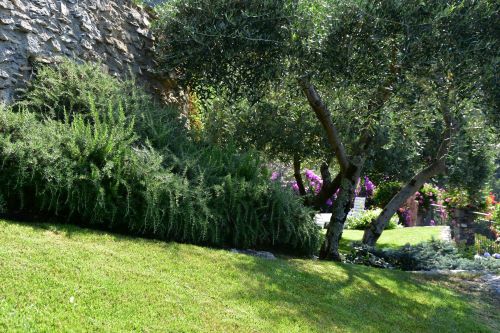 Rif. 2092 – Zoagli – Cornice di S. Ambrogio – Al confine tra Rapallo e Zoagli – Villa indipendente bipiano di duecentove