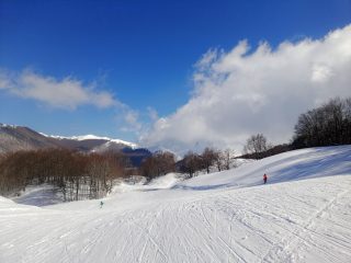 IMG_20230305_141437_300