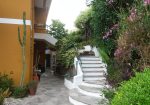 Penthouse in a semi-detached villa with independent entrance, terrace on the floor and garden